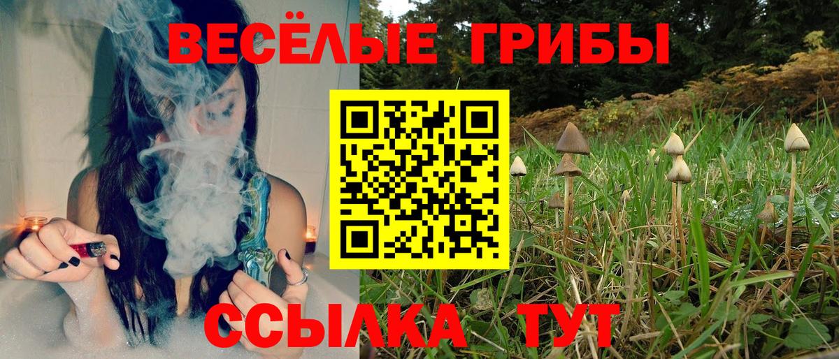 где купить наркоту  Псилоцибиновые грибы Psilocybine cubensis  Галлюциногенные грибы ЛСД  Вход с VPN  Ялуторовск 